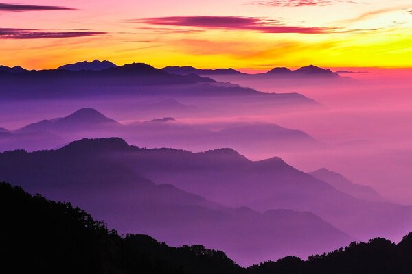 Nebbia viola che copre le colline sullo sfondo di un alba gialla brillante
