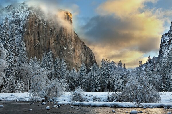 Beautiful winter nature in the park