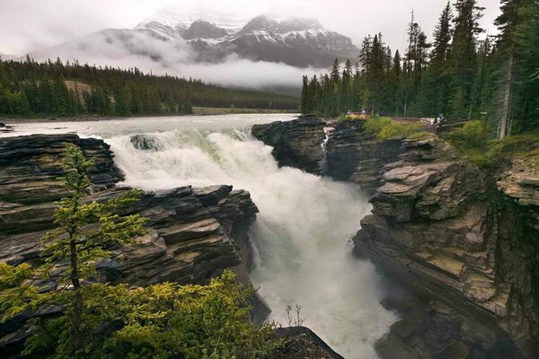 Водопад в скалах среди леса