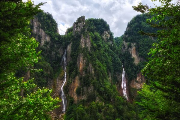 Paisaje de una cascada en Japón contra un fondo de árboles