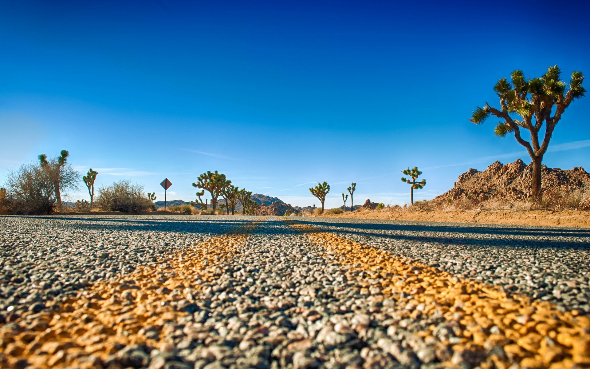 joshua tree national park straße horizont