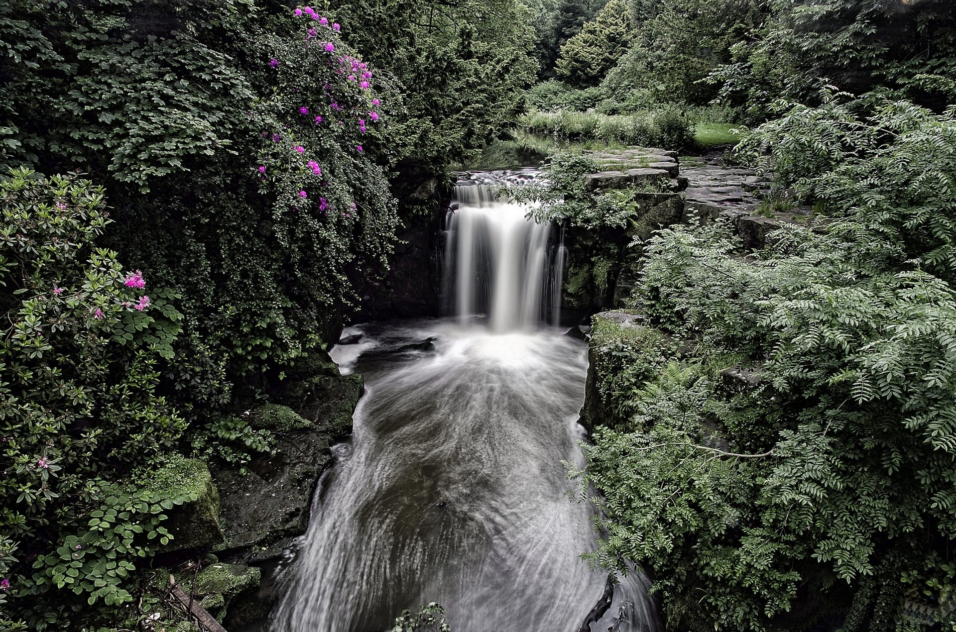 jesmond dene waterfall newcastle england waterfall forest bush