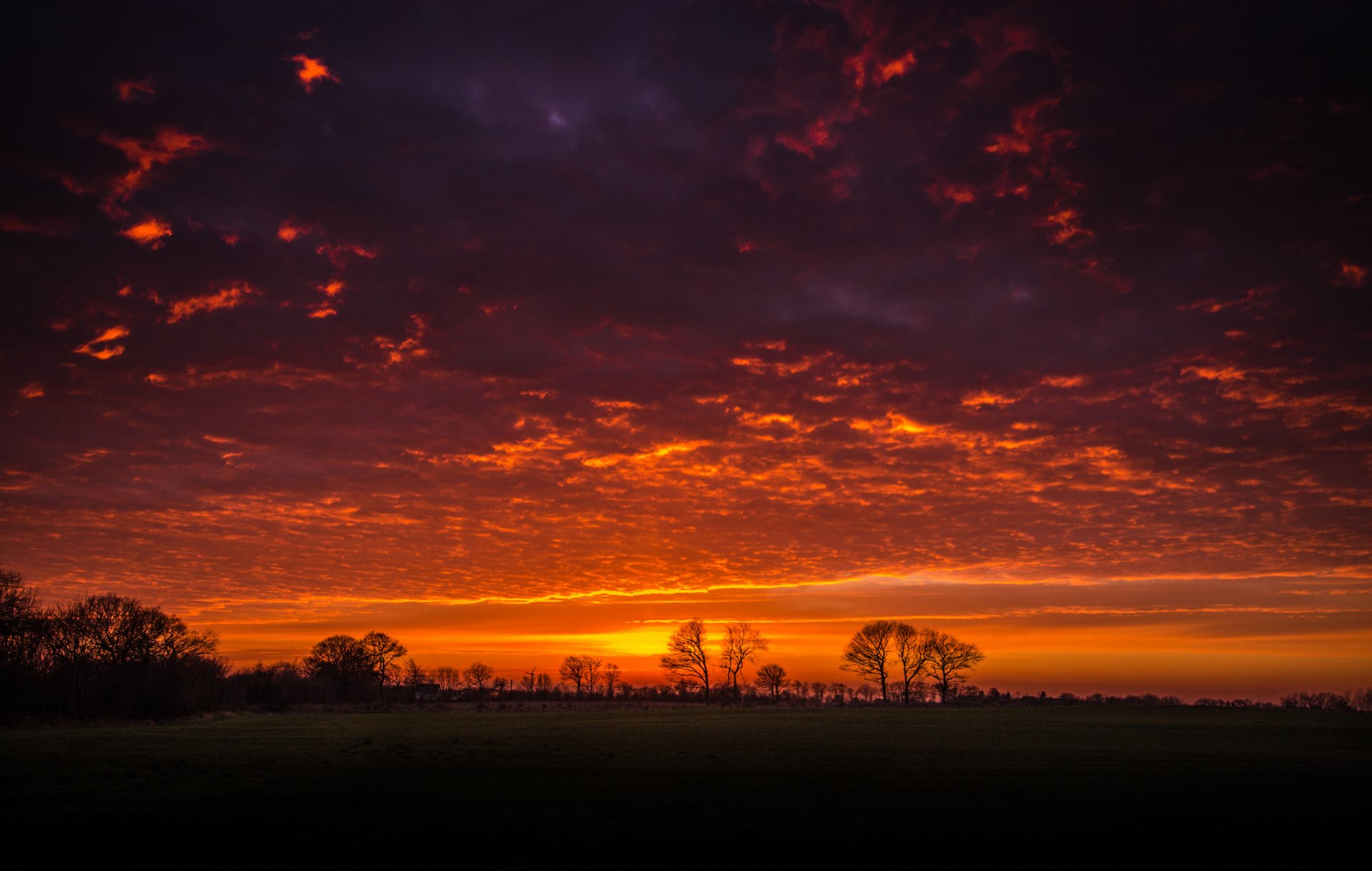 landscape nature sunset sky clouds tree silhouettes branche