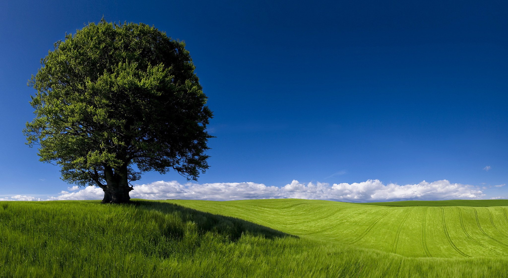 orizzonti verdi paesaggio campi cardiff newpor