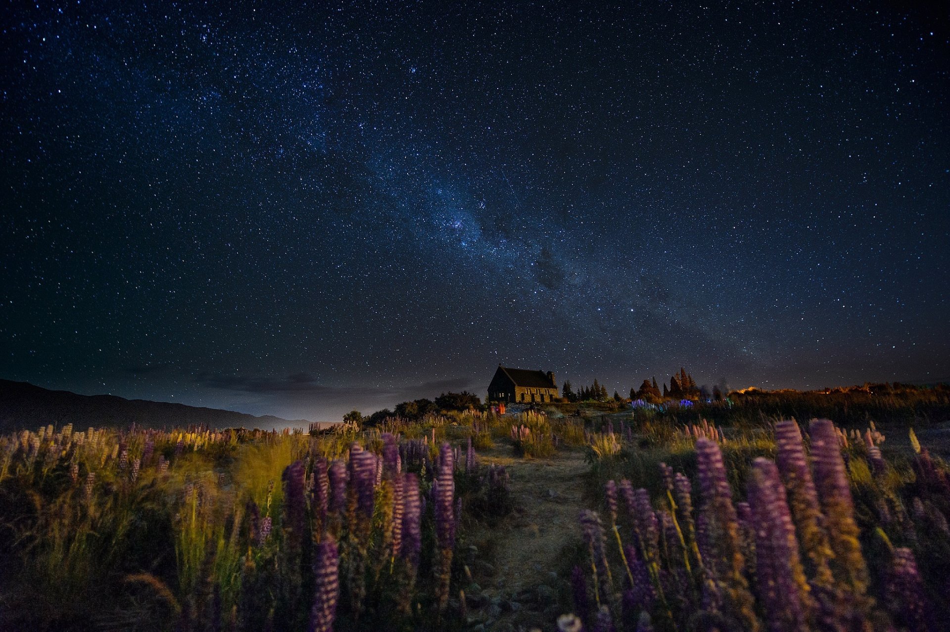 nouvelle-zélande nuit ciel voie lactée colline maison sentier fleurs lupins vent