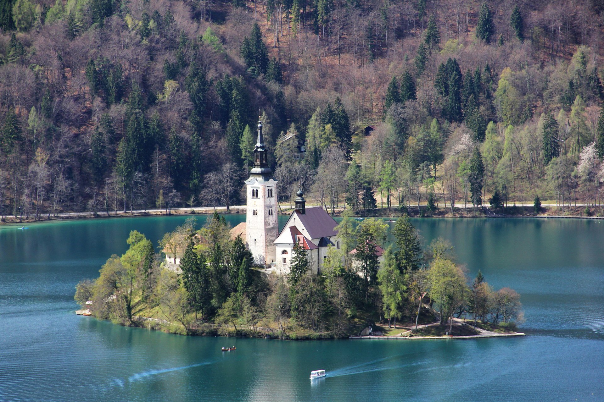 lac bled slovénie montagnes église tour maisons île