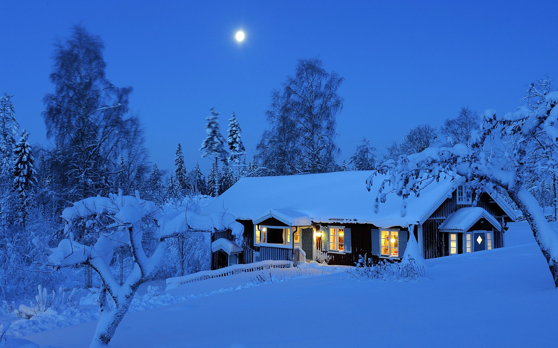 inverno notte dalarna svezia rottami inverno neve foresta alberi luna luce luci