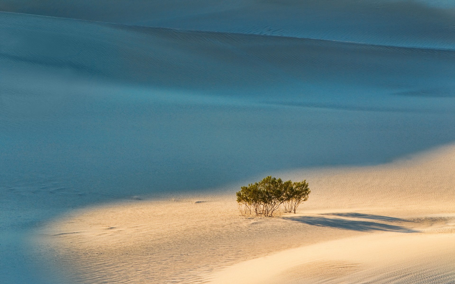 sand bäume landschaft