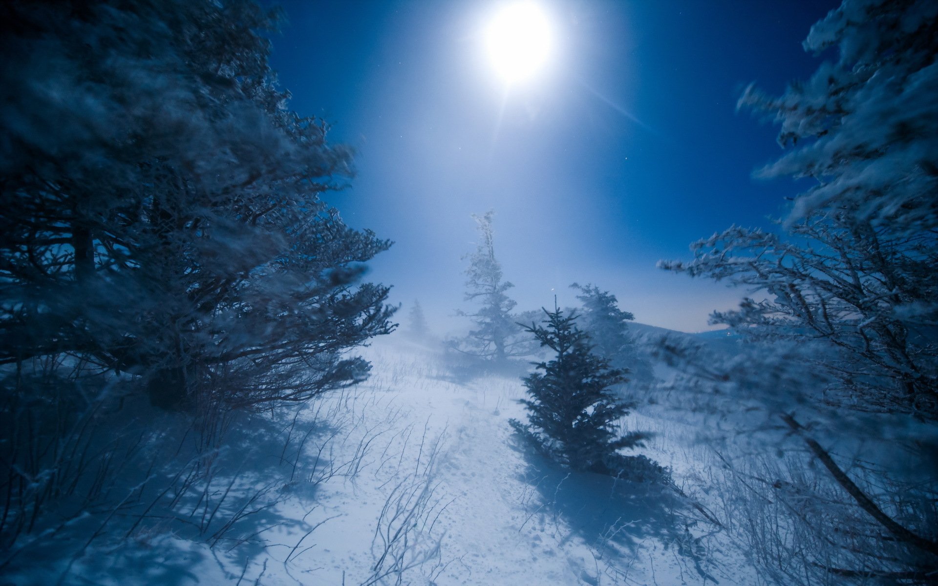 nuit hiver lune paysage