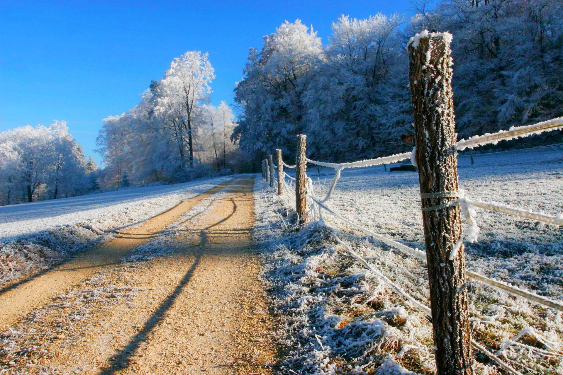 natur winter schnee straße bäume wald himmel landschaft winter weiß cool schön