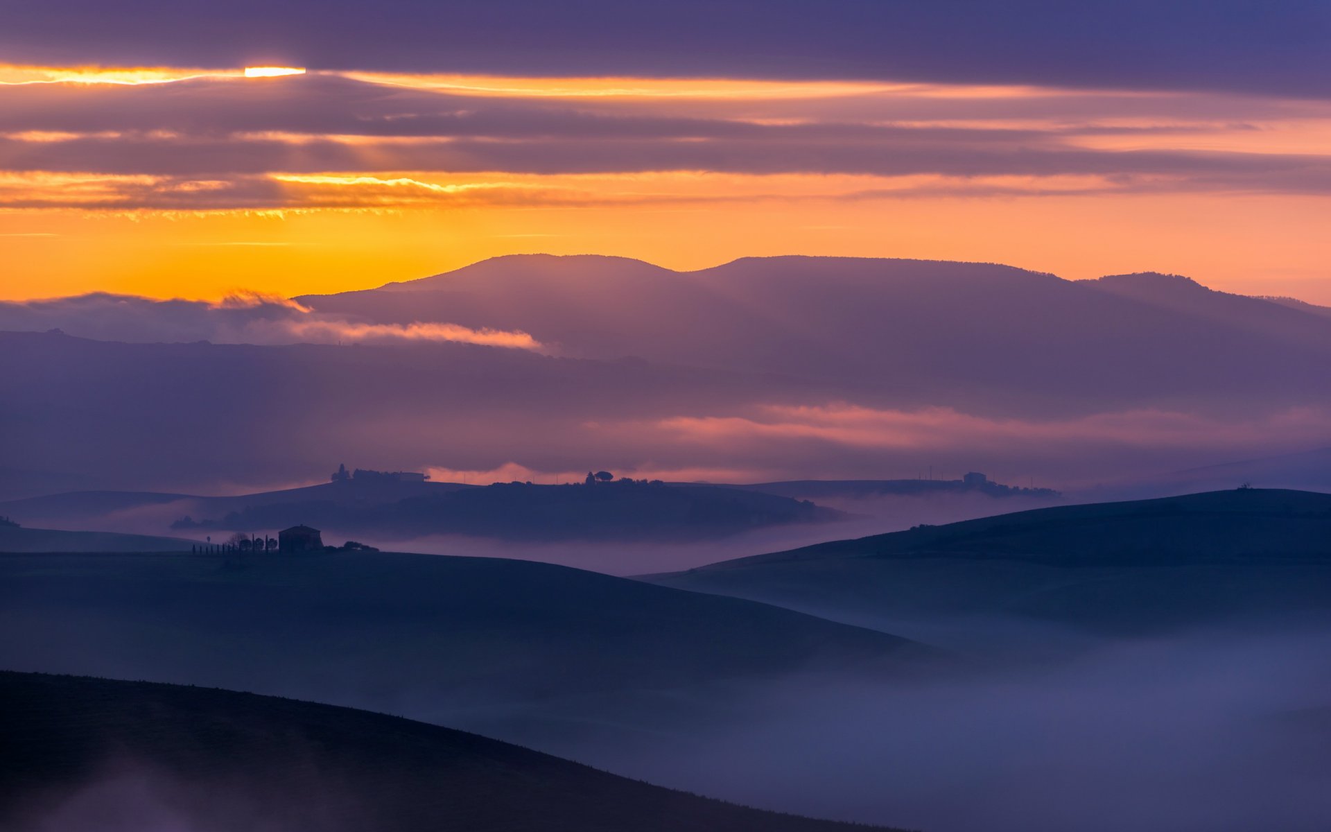 campo nebbia paesaggio