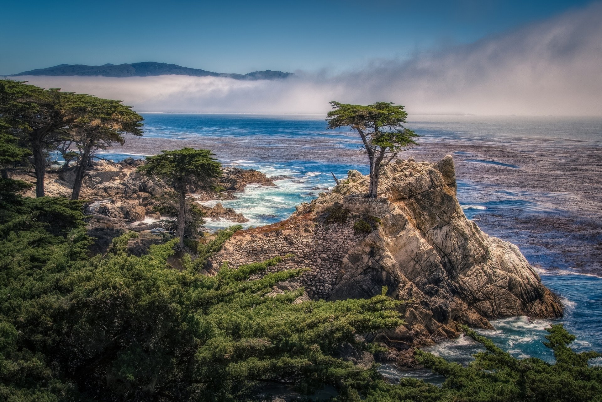 pebble beach kalifornien einsame zypresse carmel bay 17-meilen-motor pebble beach bucht felsen bäume zypressen küste