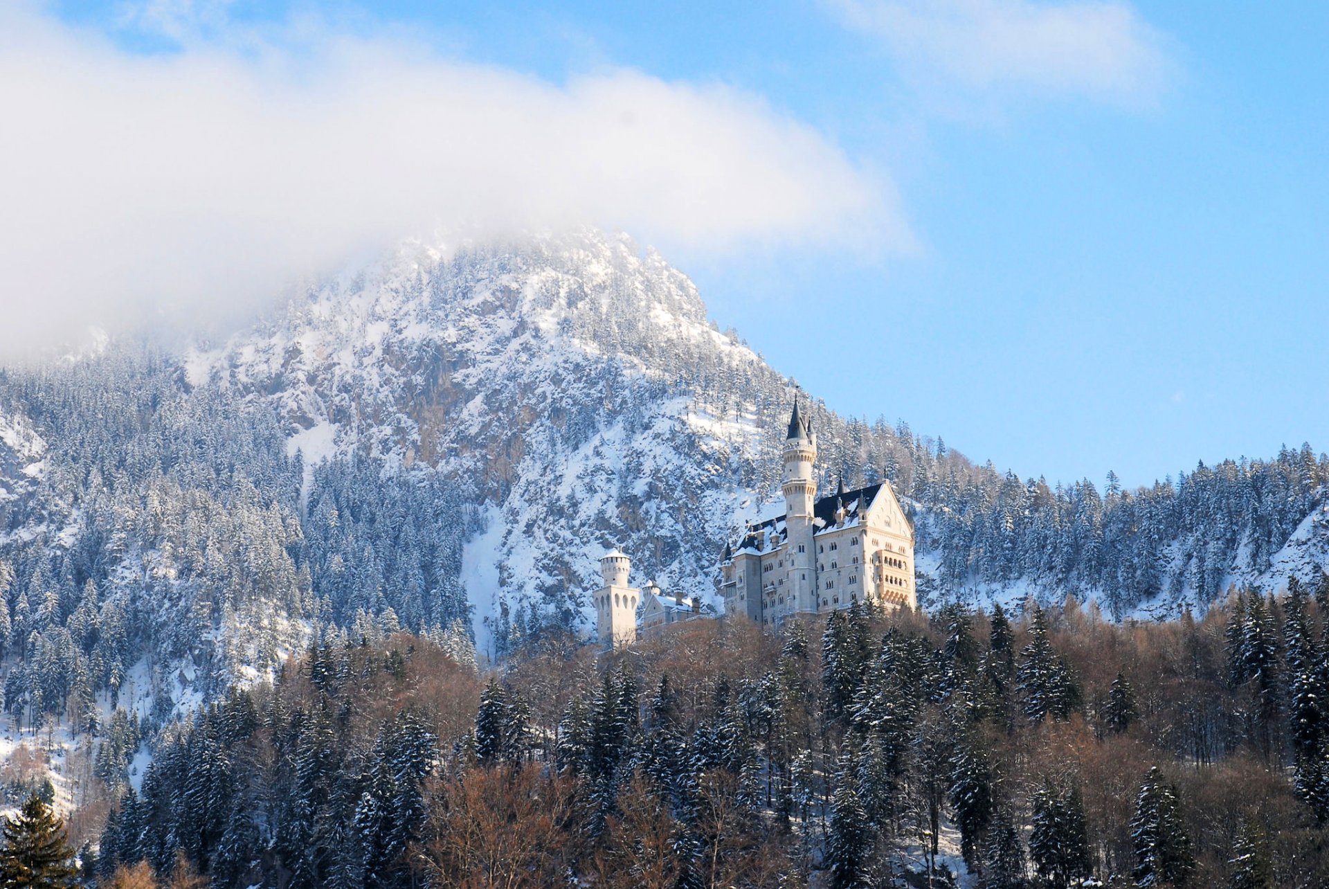 neuschwanstein niemcy bawaria zamek ludwig zima śnieg niebo chmury drzewa wieża las góry