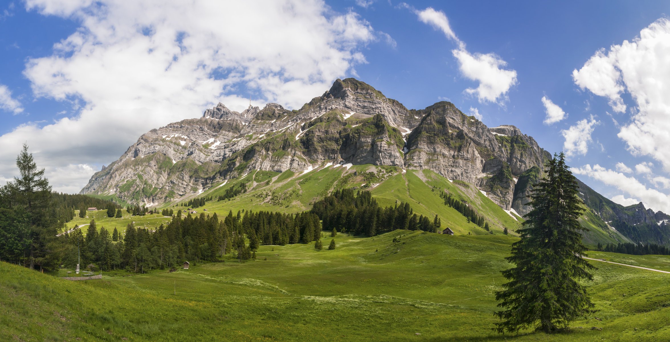 montagnes sommets prairies forêt arbres ciel nuages