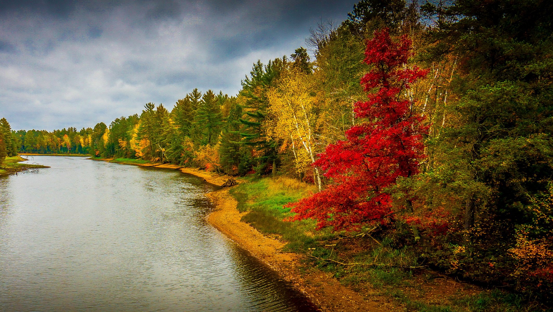 krajobraz jesień rzeka las drzewa natura zdjęcia