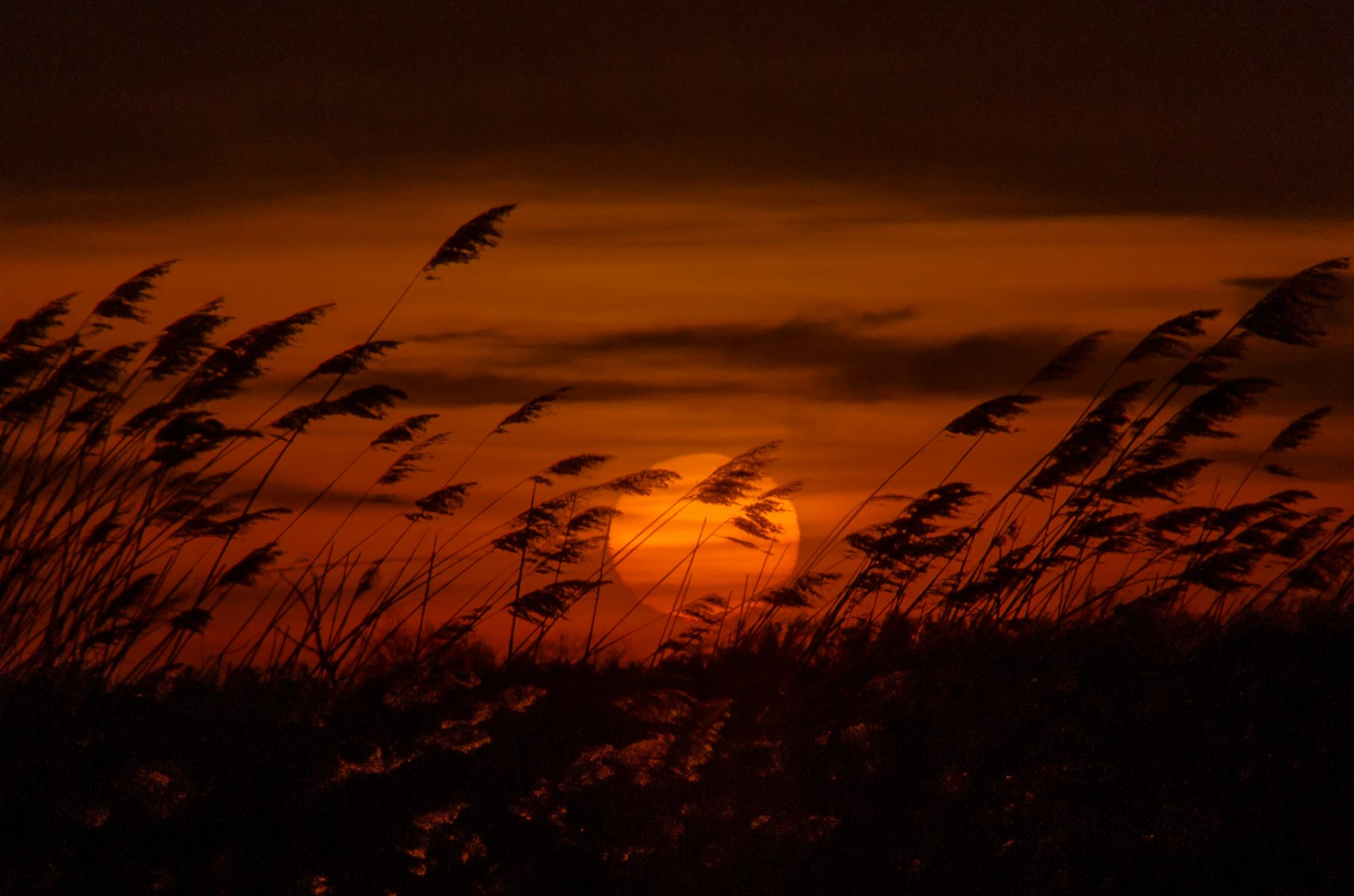 abend sonnenuntergang sonne fahrt kamille