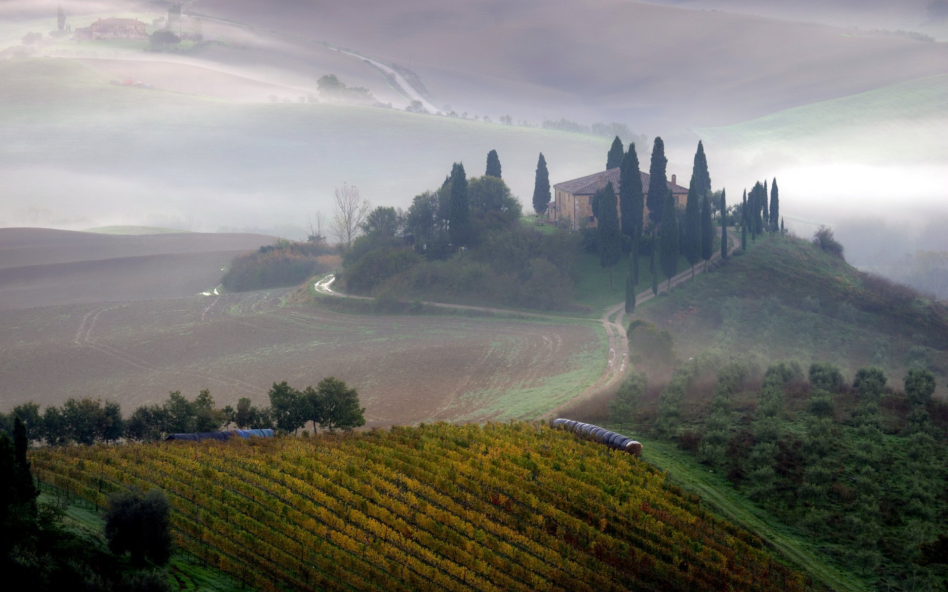 champ matin brouillard paysage toscane