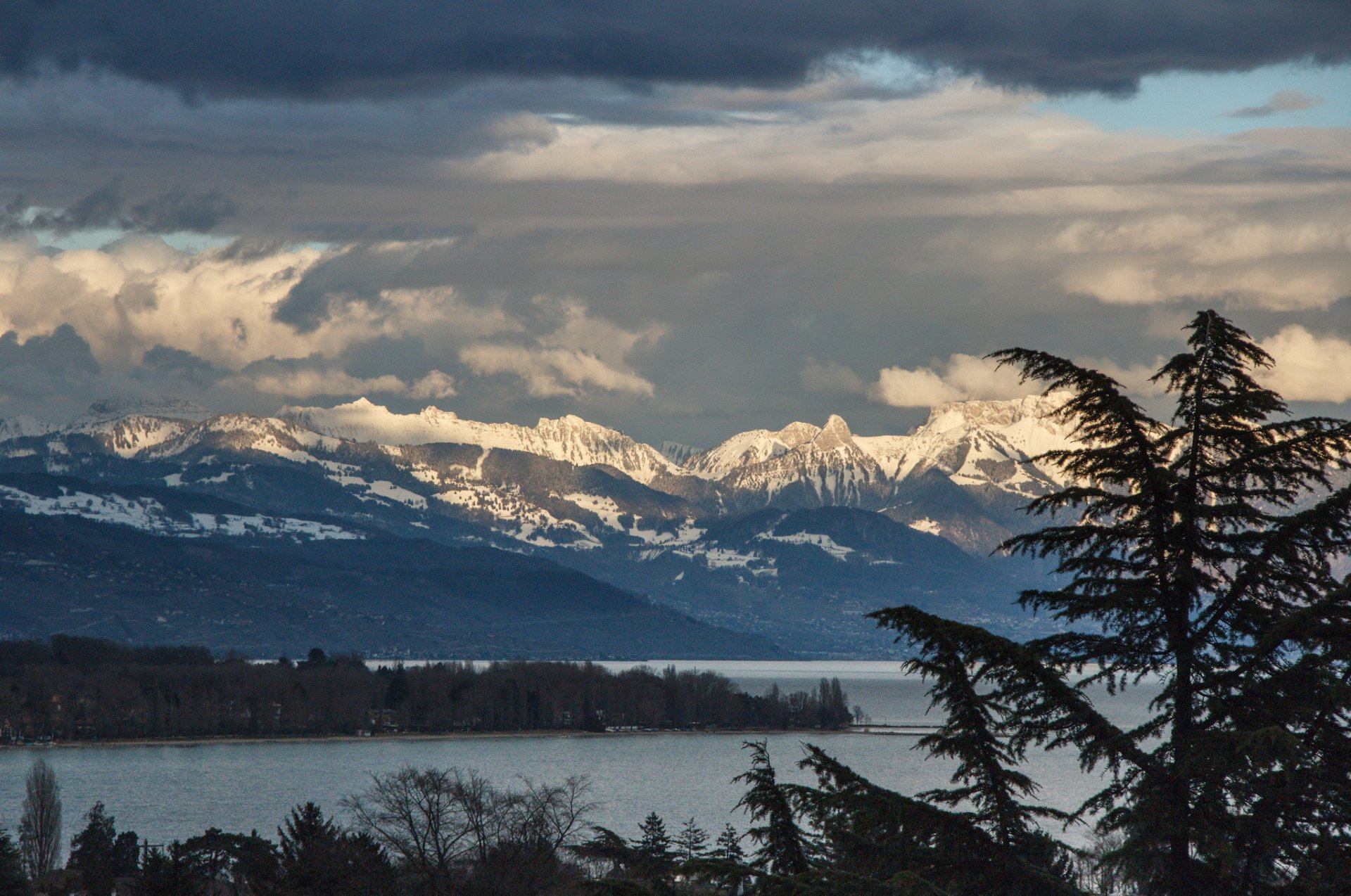 tree lake mountain tops snow cloud