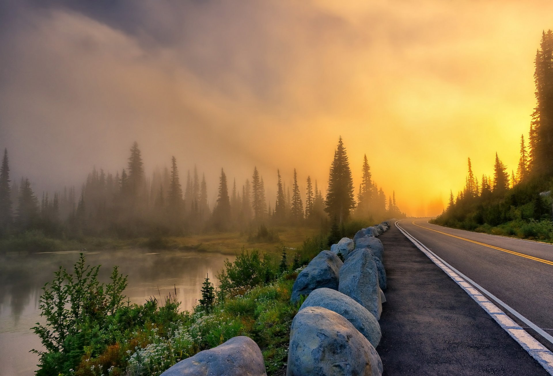 road fog landscape