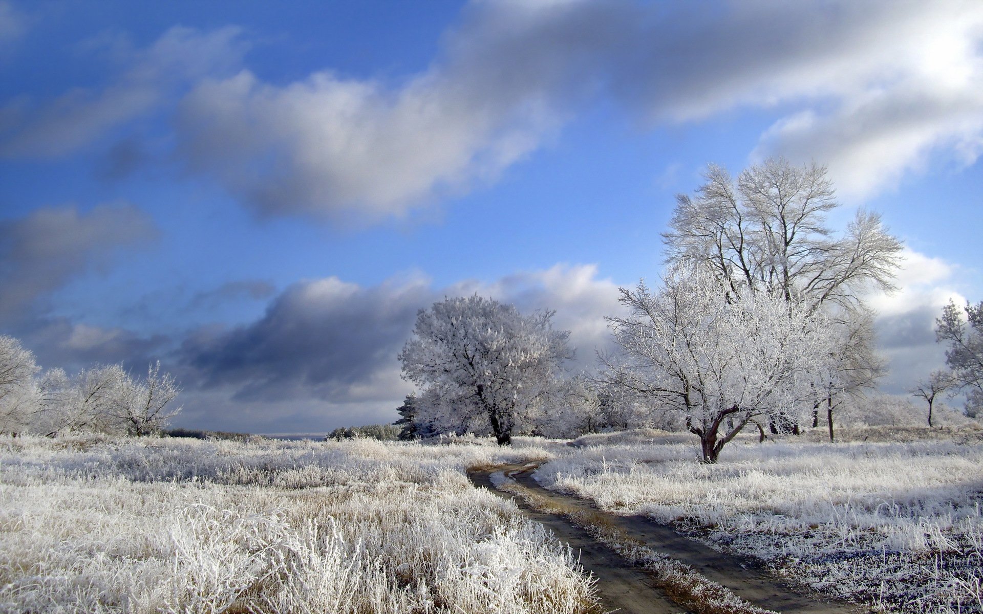 feld straße frost natur