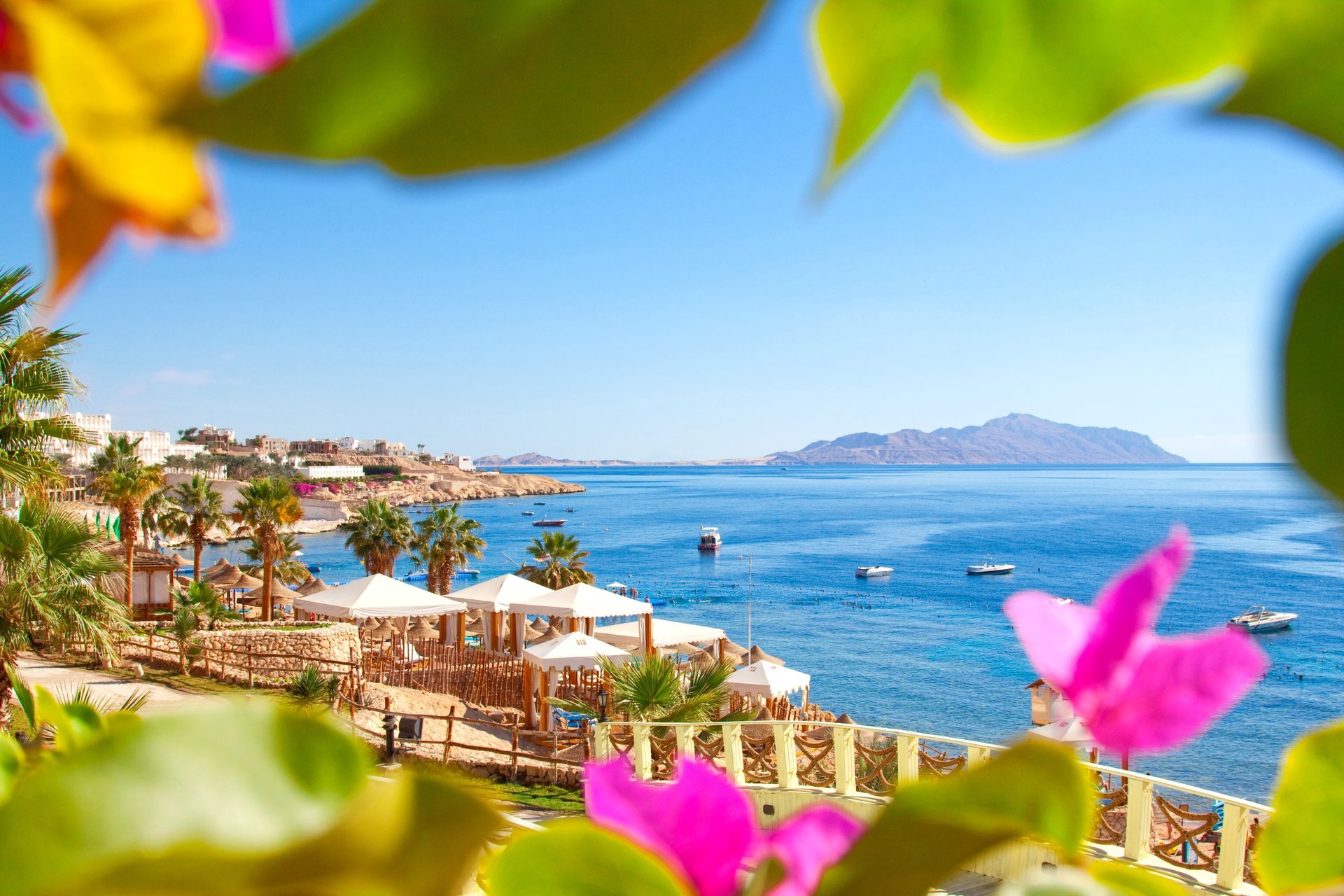 ägypten resort strand palmen blätter meer natur