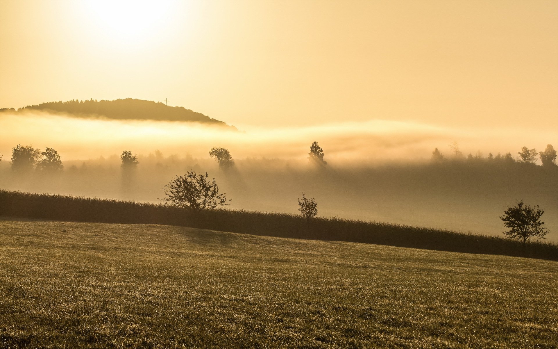 matin brouillard paysage