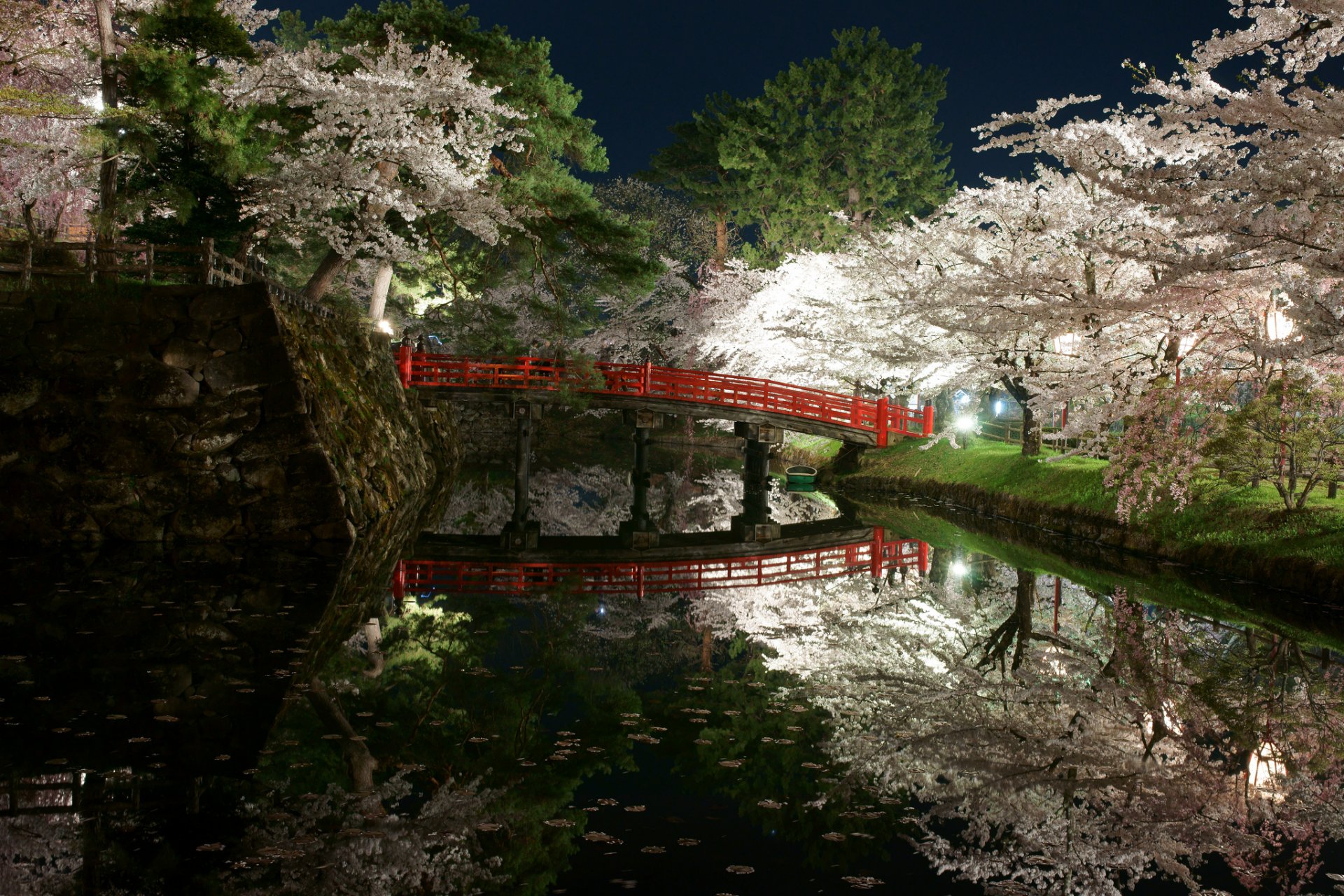 japon parc jardin arbres fleurs printemps nuit lumière plan d eau pont