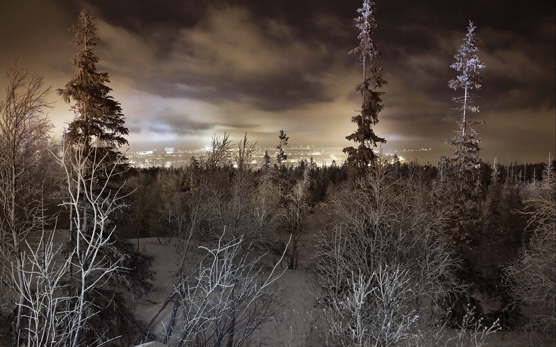 winter forest town landscape