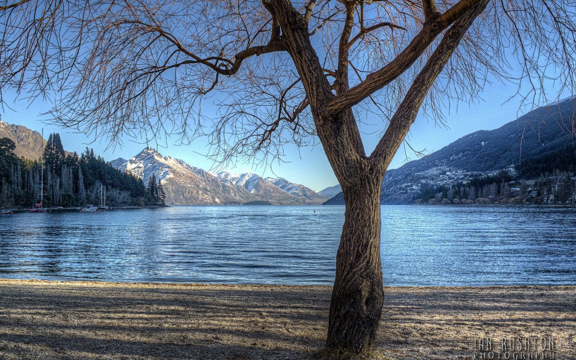 lago albero montagne foresta alberi riva natura foto fotografo ian rushton