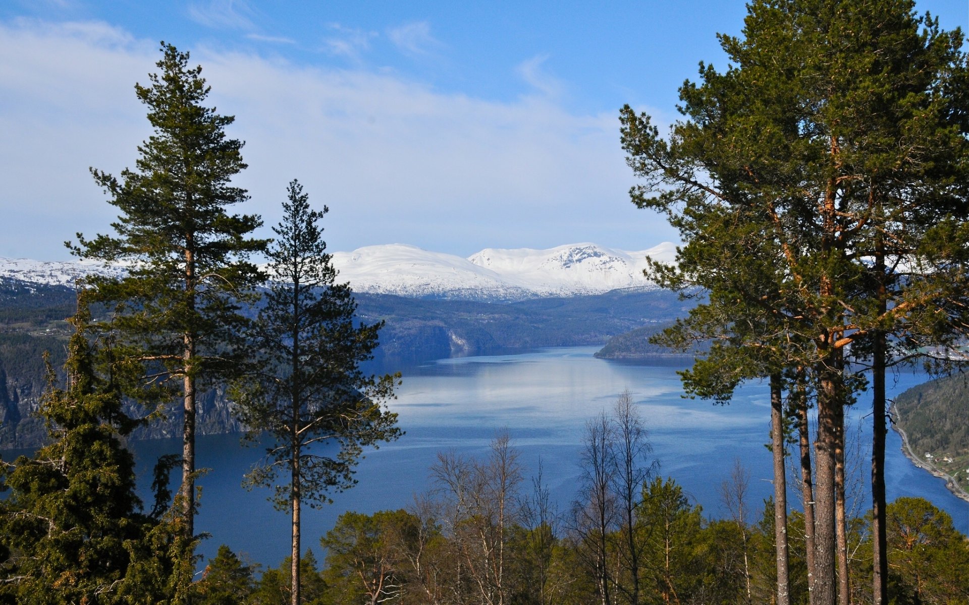 norwegen fjord berge bäume