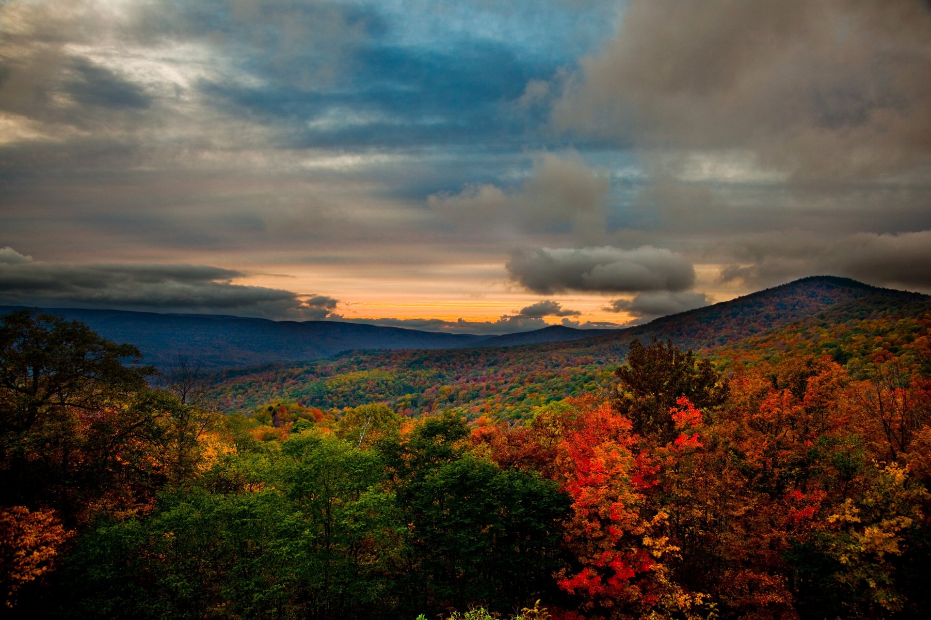 foresta montagna stati uniti paesaggio autunno virginia natura foto