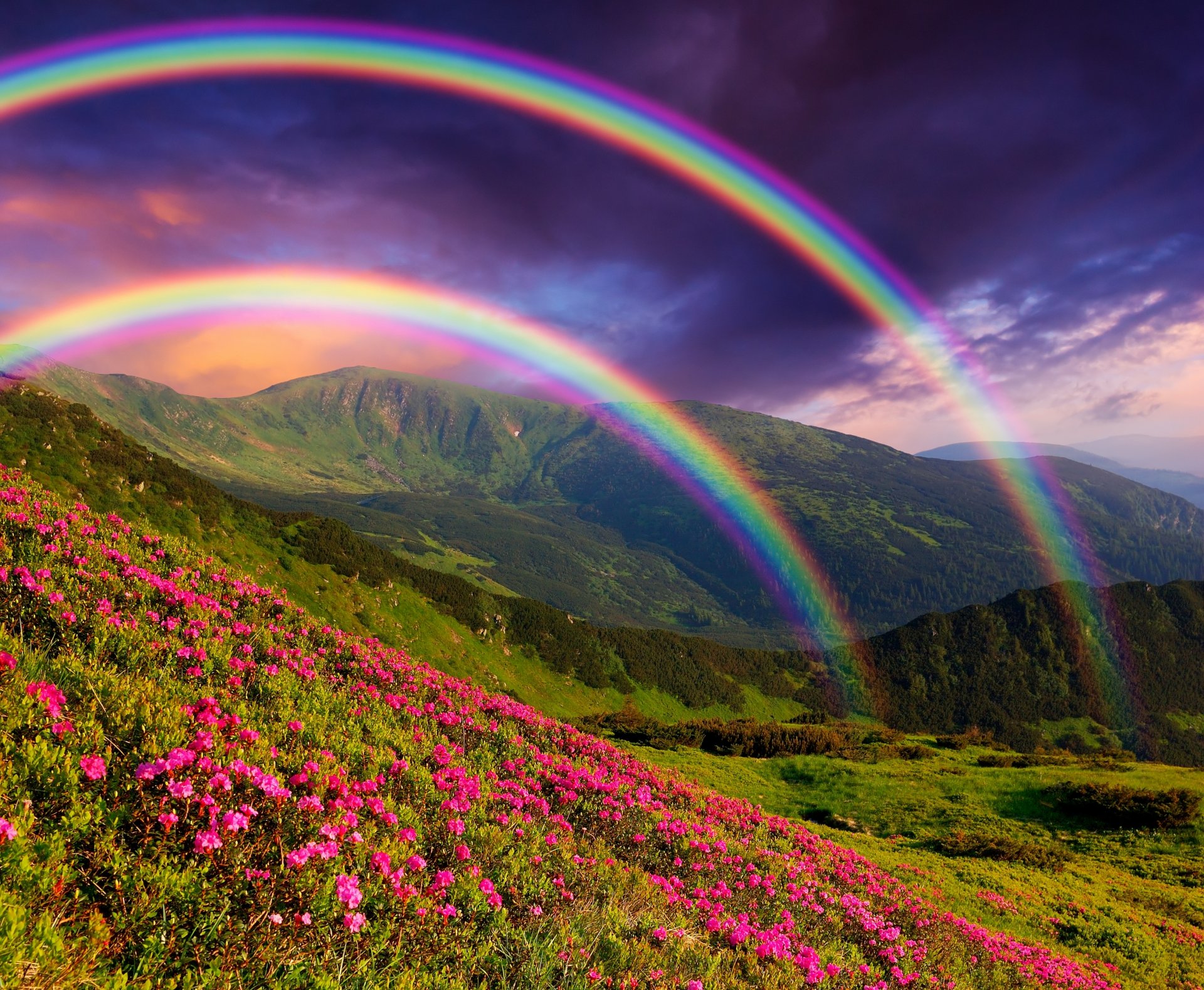 natura paesaggio montagne fiori arcobaleno arcobaleni