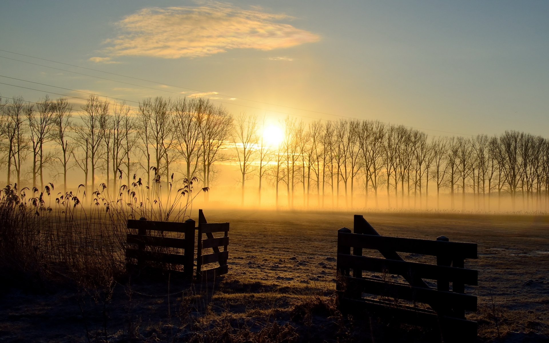 unset the field fence landscape