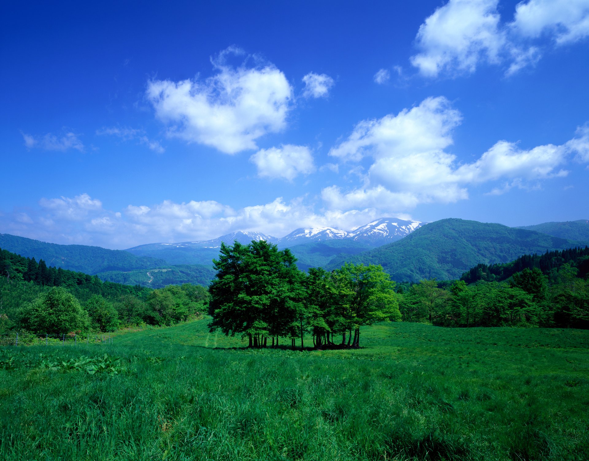 ciel nuages montagnes vallée pré herbe arbres