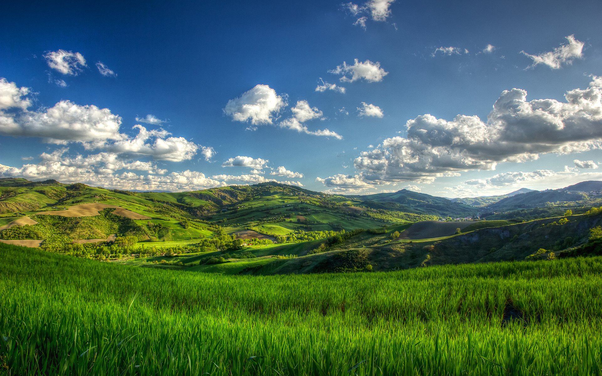 colline estate erba albero nuvola