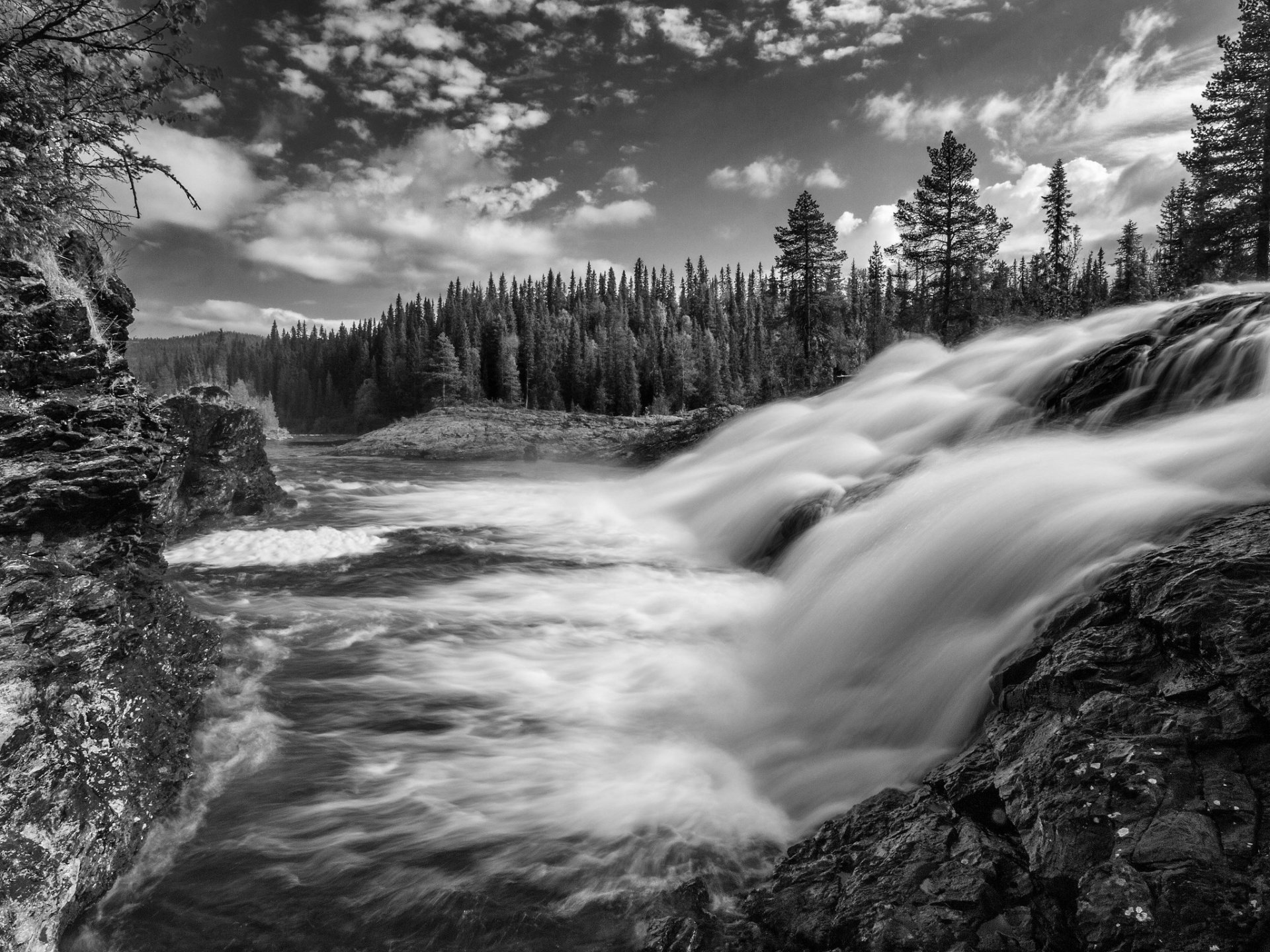 dimforsen västerbotten svezia flusso foresta cascata bianco e nero