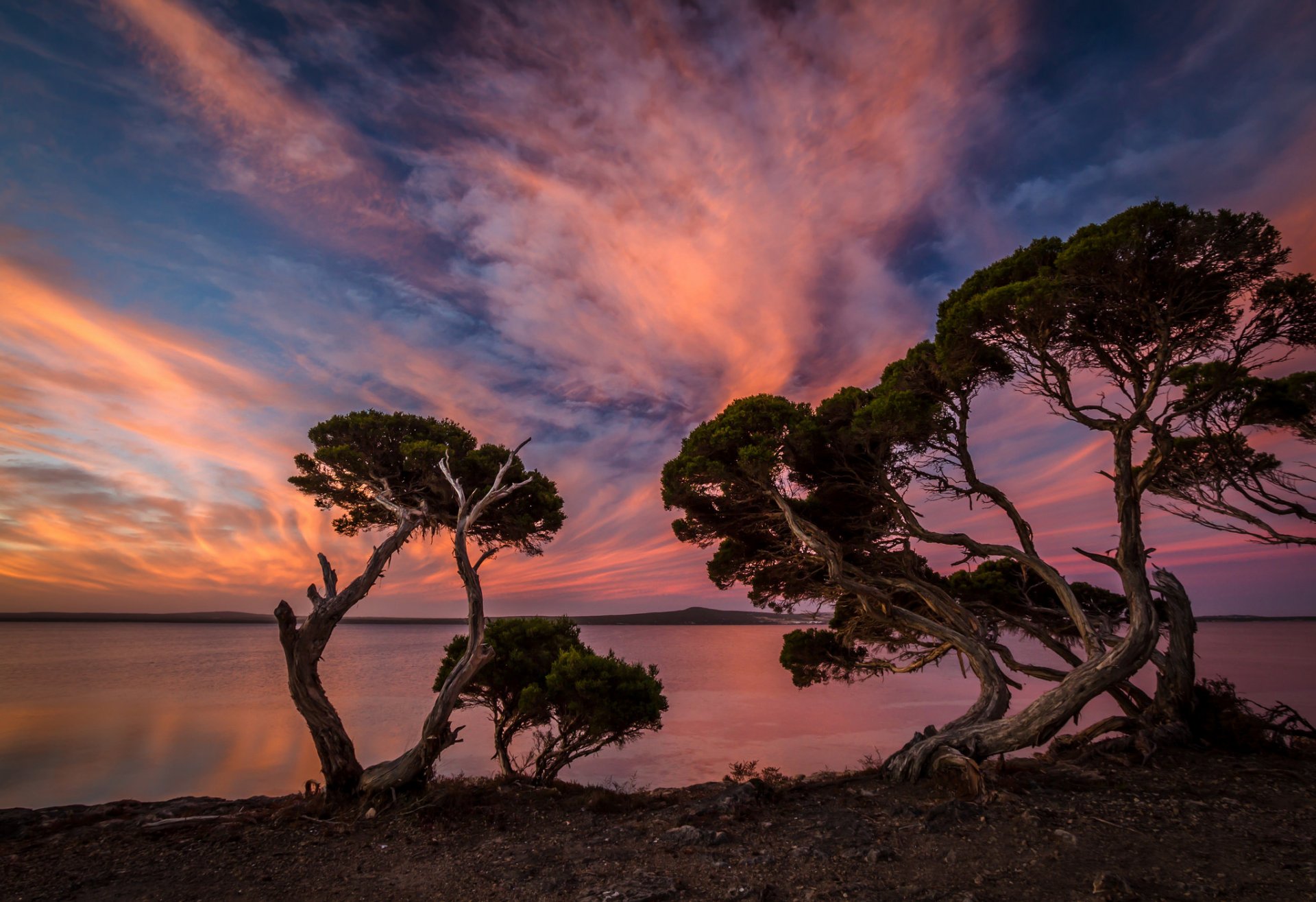 côte arbres soir coucher de soleil