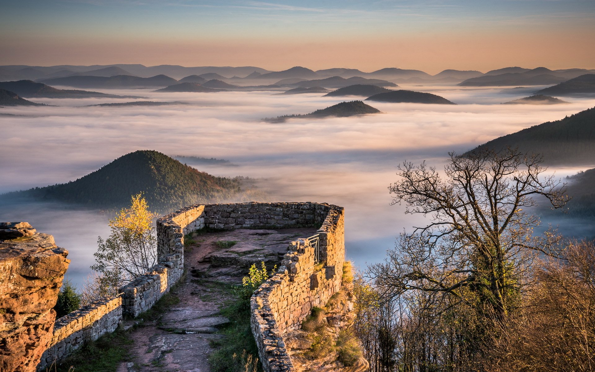 château ruines forêt brouillard collines montagnes wegelnburg palatinat