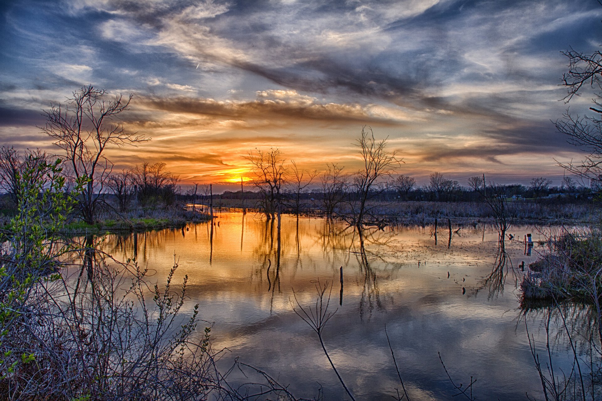 primavera fuoriuscita alberi tramonto sole nuvole