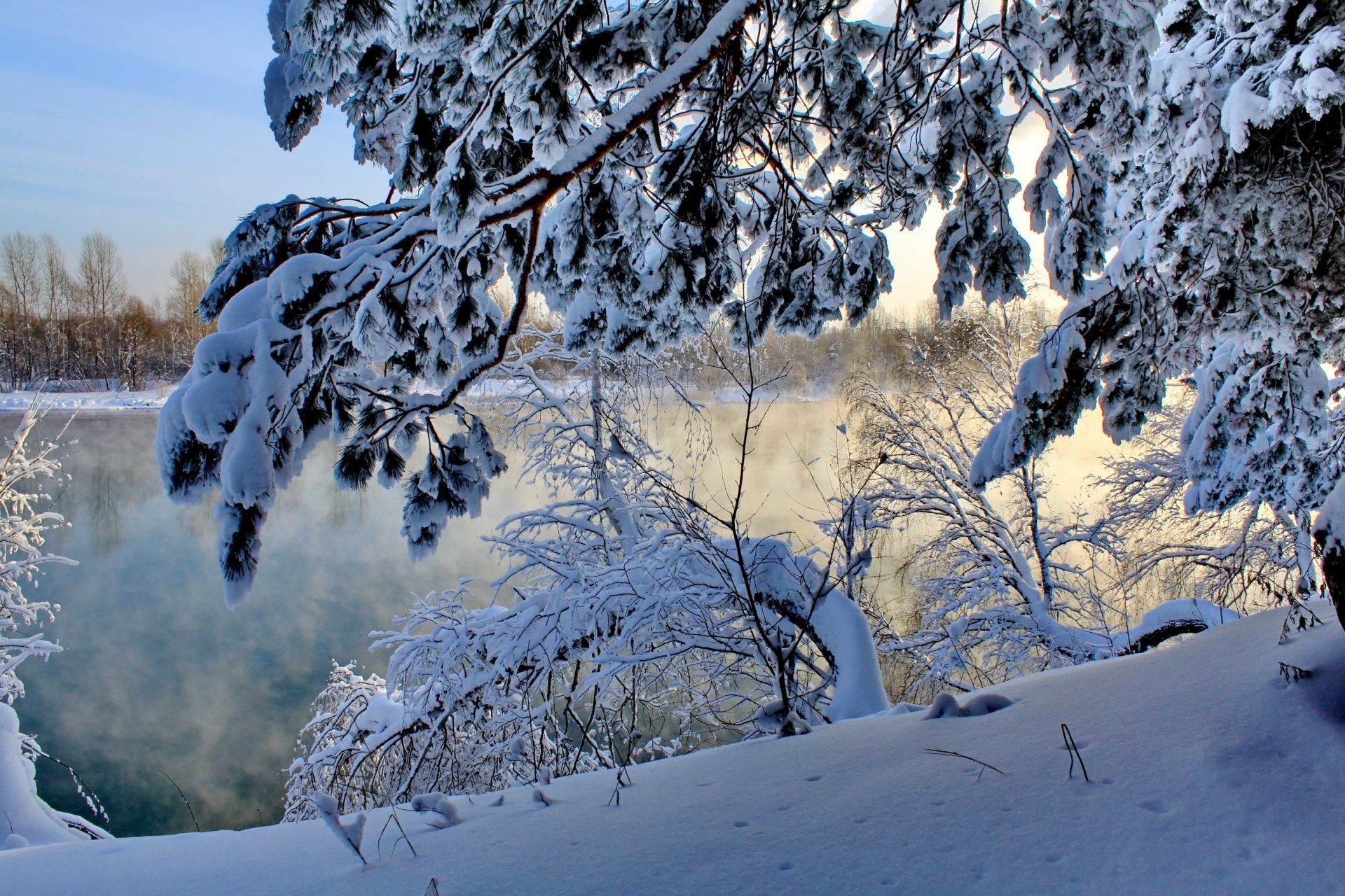 inverno fiume neve rami natura mattina nebbia