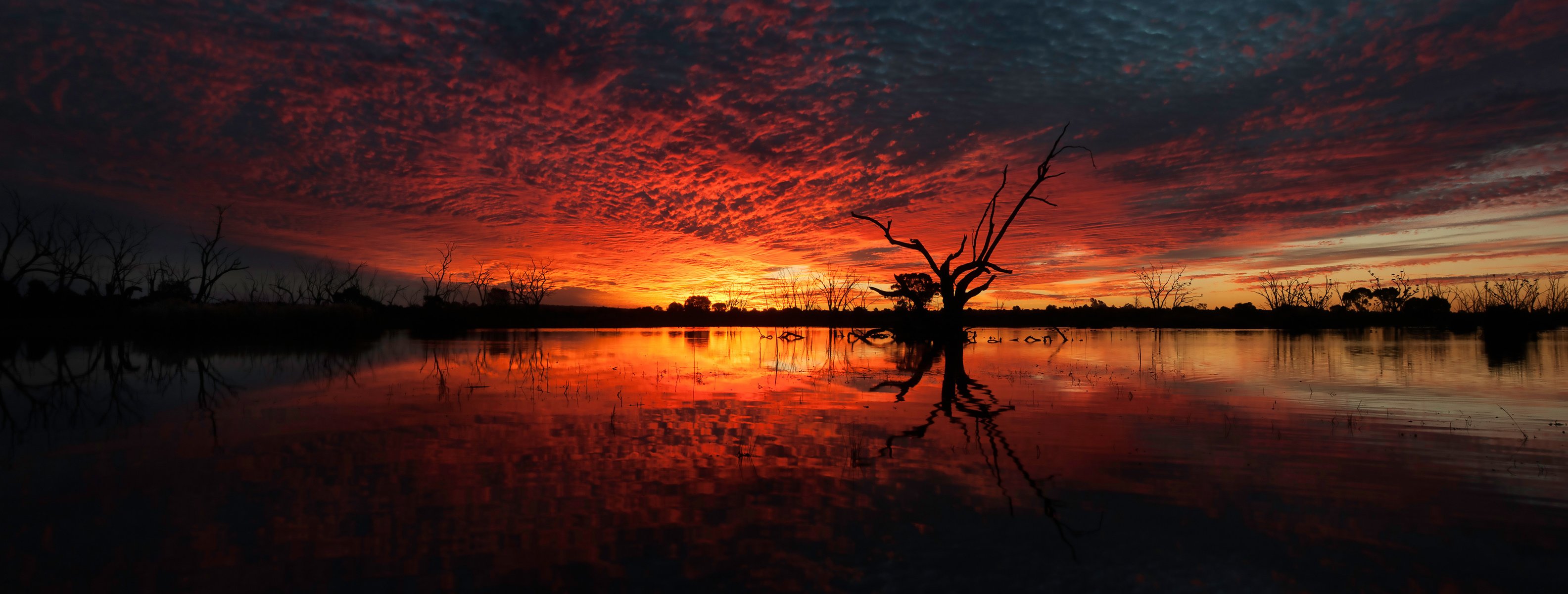 cielo nubes puesta de sol lago árboles madera flotante