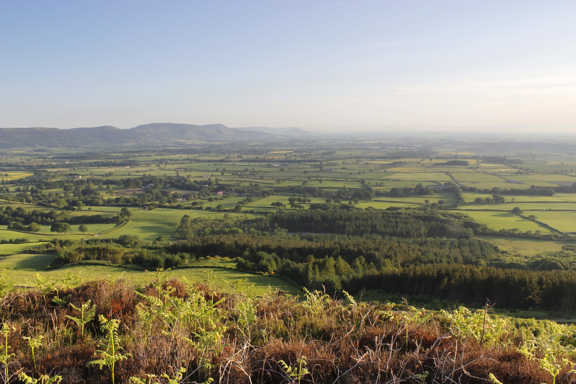 doliny yorkshire north yorkshire anglia wzgórza rzeki wioski soczyste zielone pastwiska wrzosowiska małe lasy drzewa