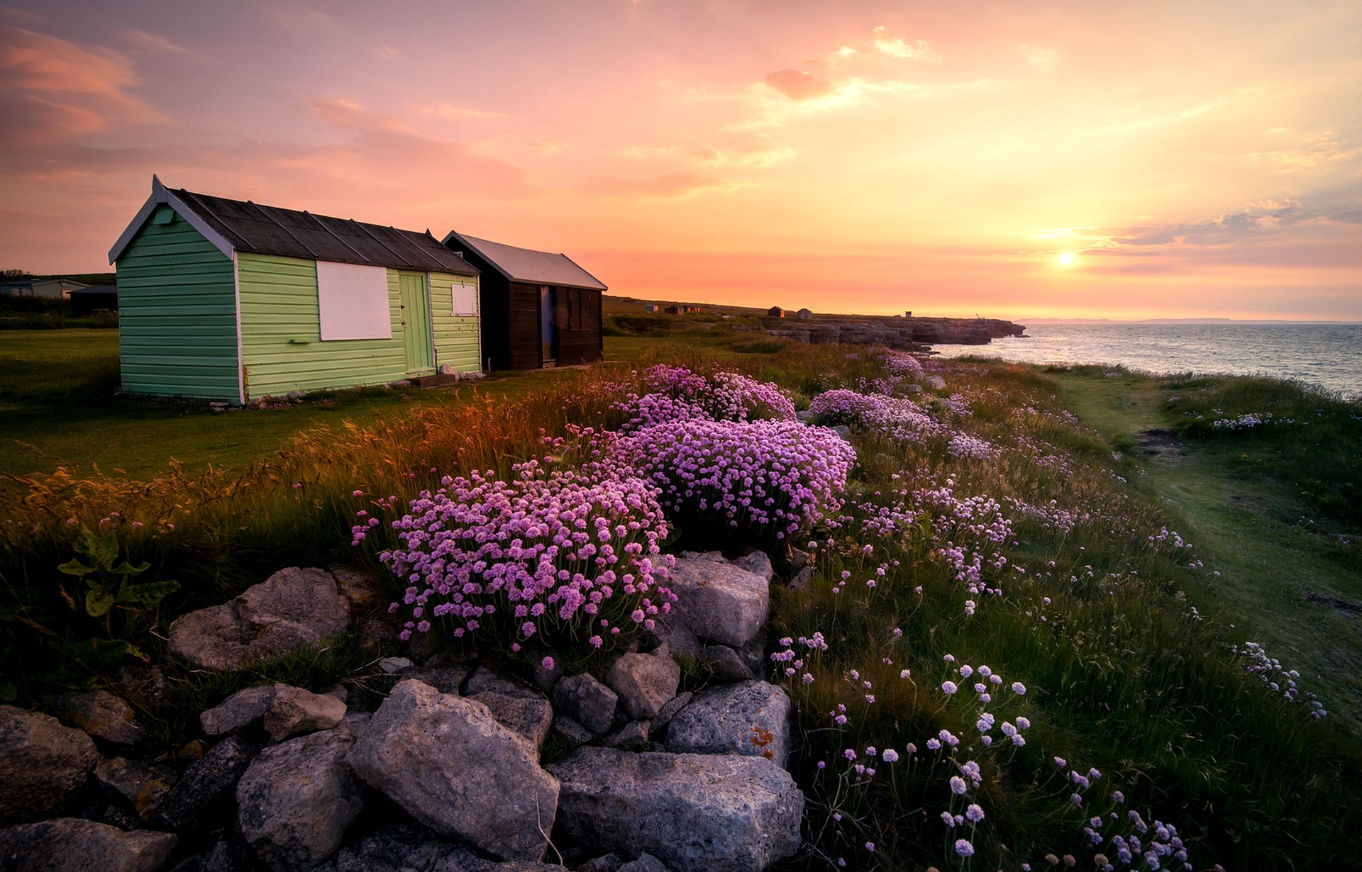 portland dorset england flowers island united kingdom flower stones grass hut sun sunrise landscape