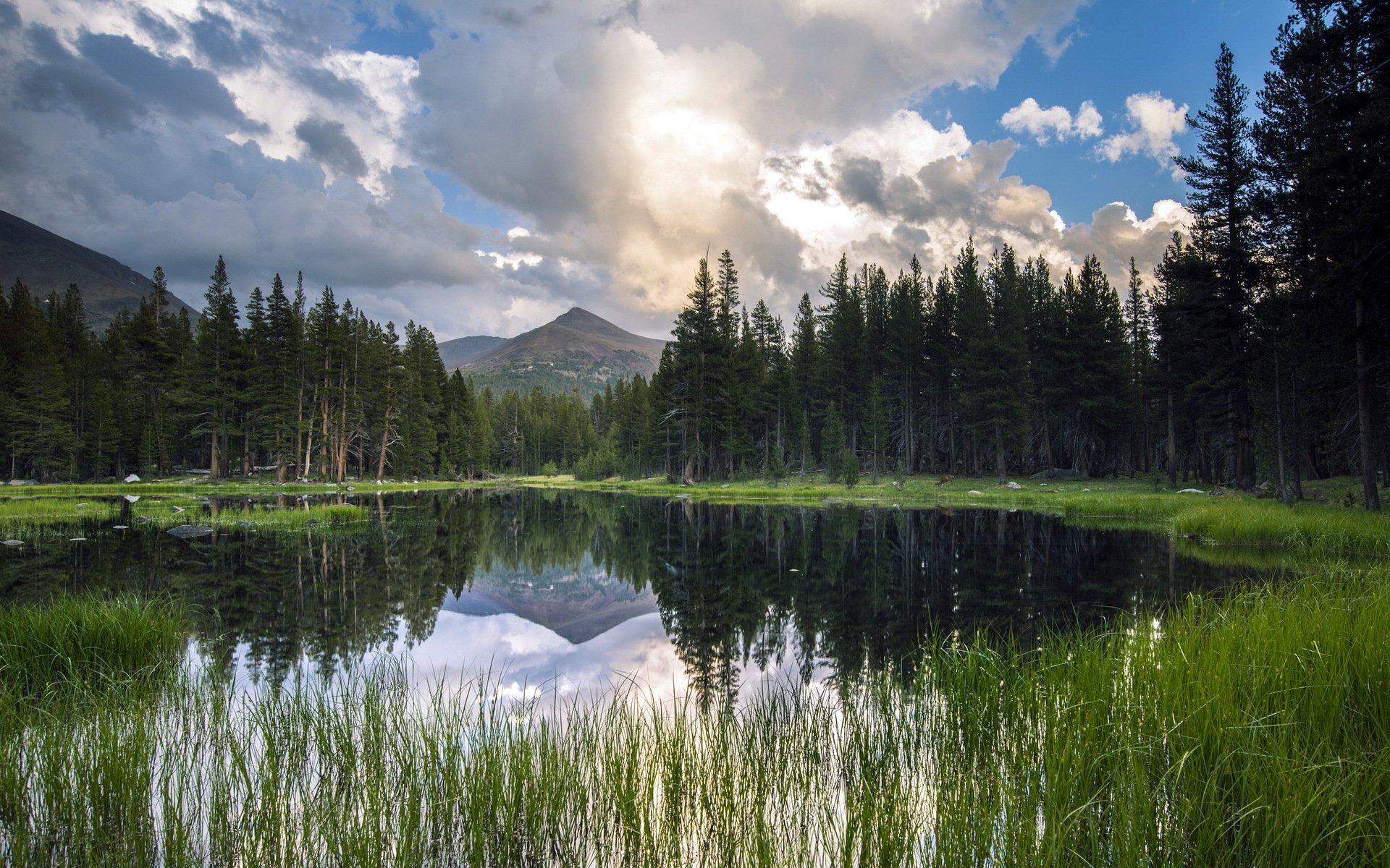 see berge landschaft