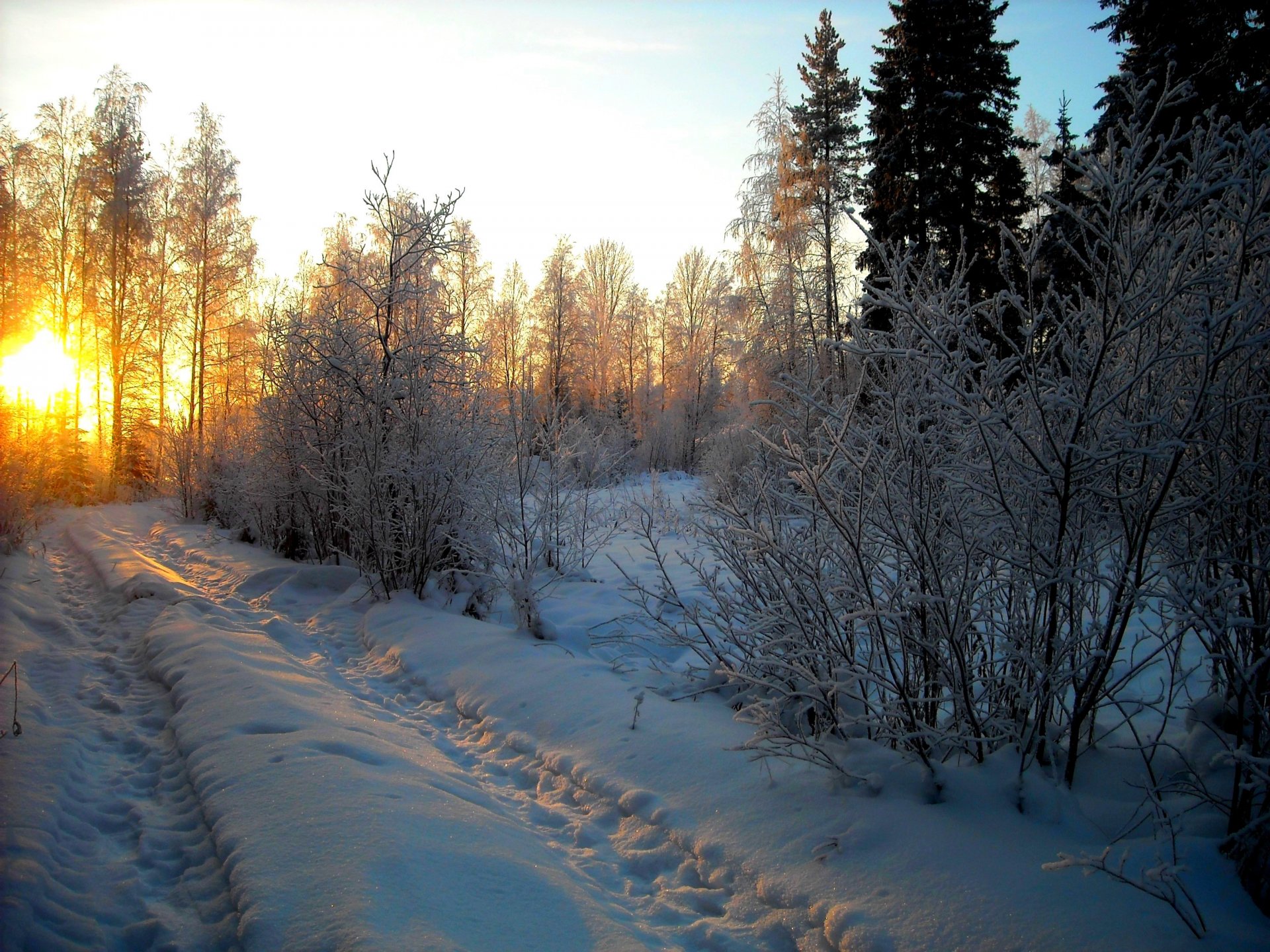 natura inverno neve cielo paesaggio inverno bianco foresta strada fresco bello tramonto