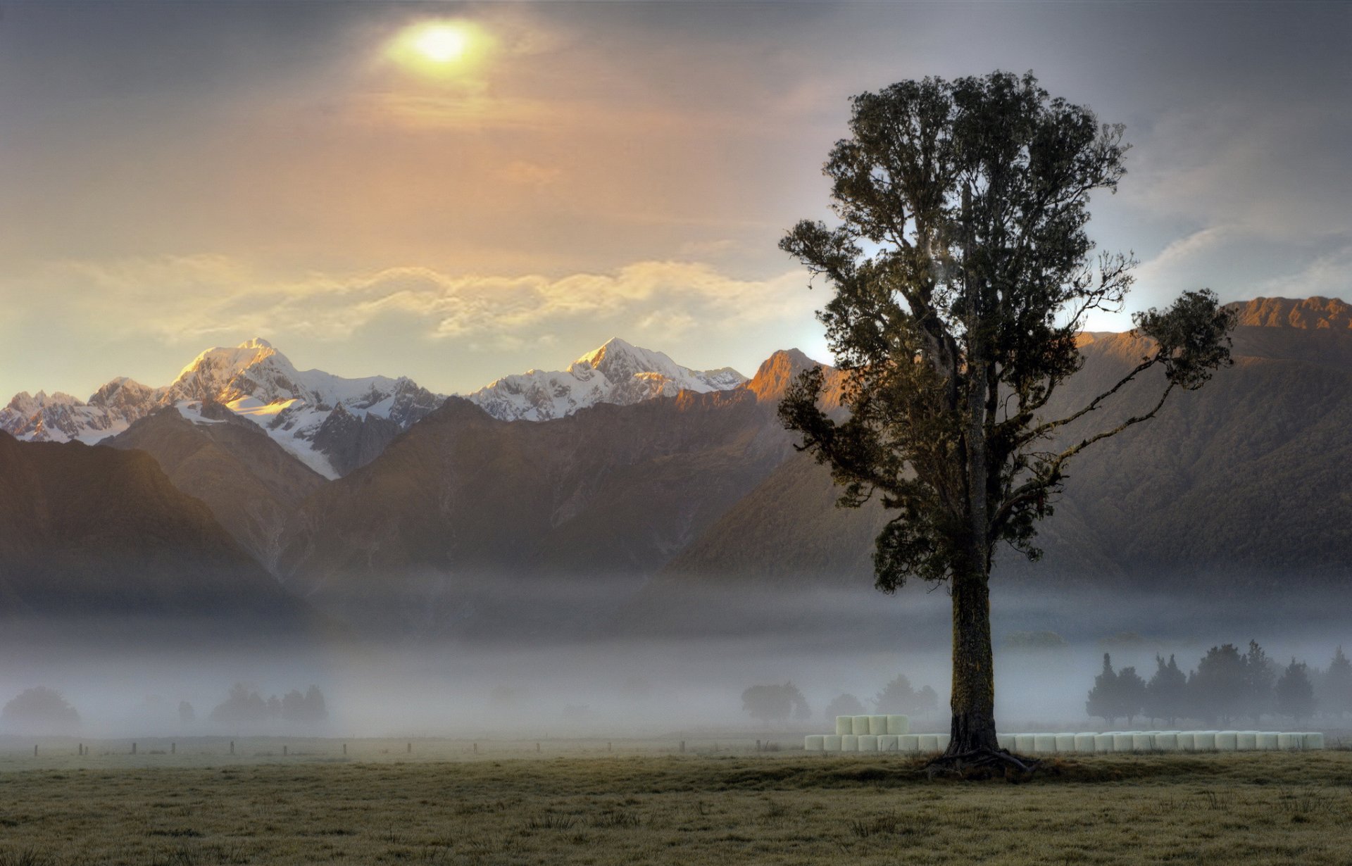 montagne nebbia albero mattina alba