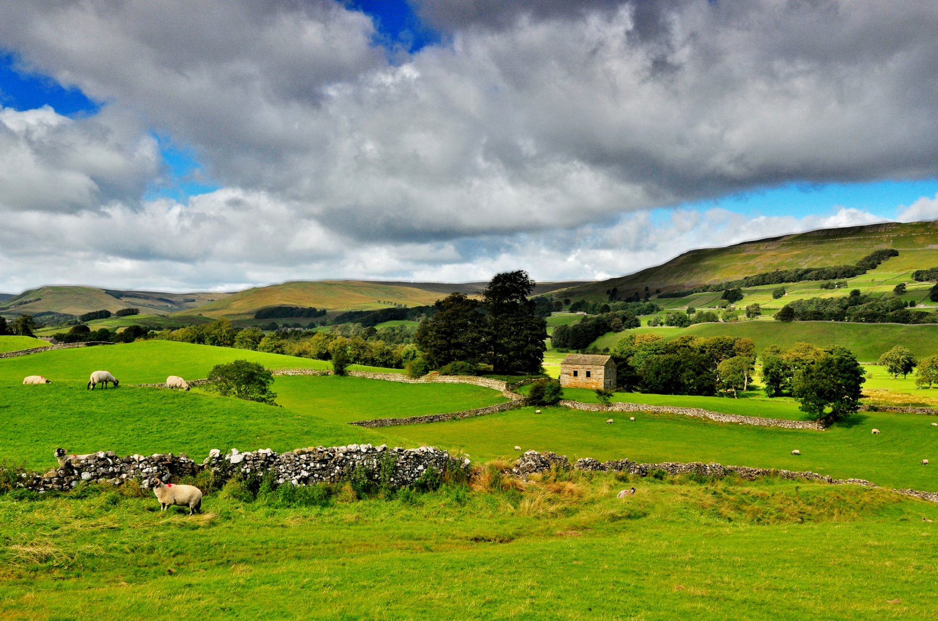 yorkshire dales północna anglia yorkshire dales park narodowy natura zieleń drzewa niebo chmury krajobraz