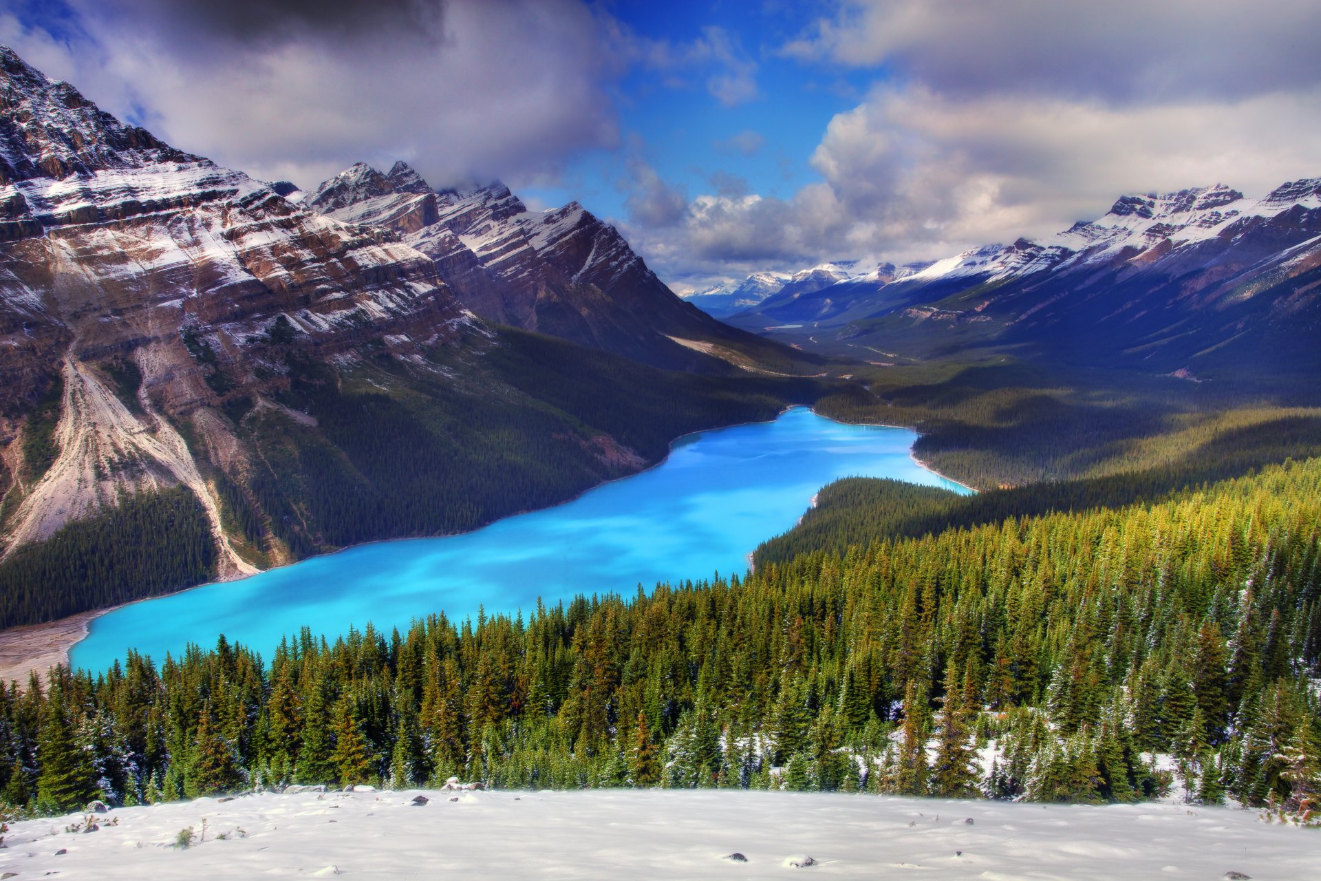 peyto lake. banff national park alberta canada mountain forest lake tree winter spruce snow