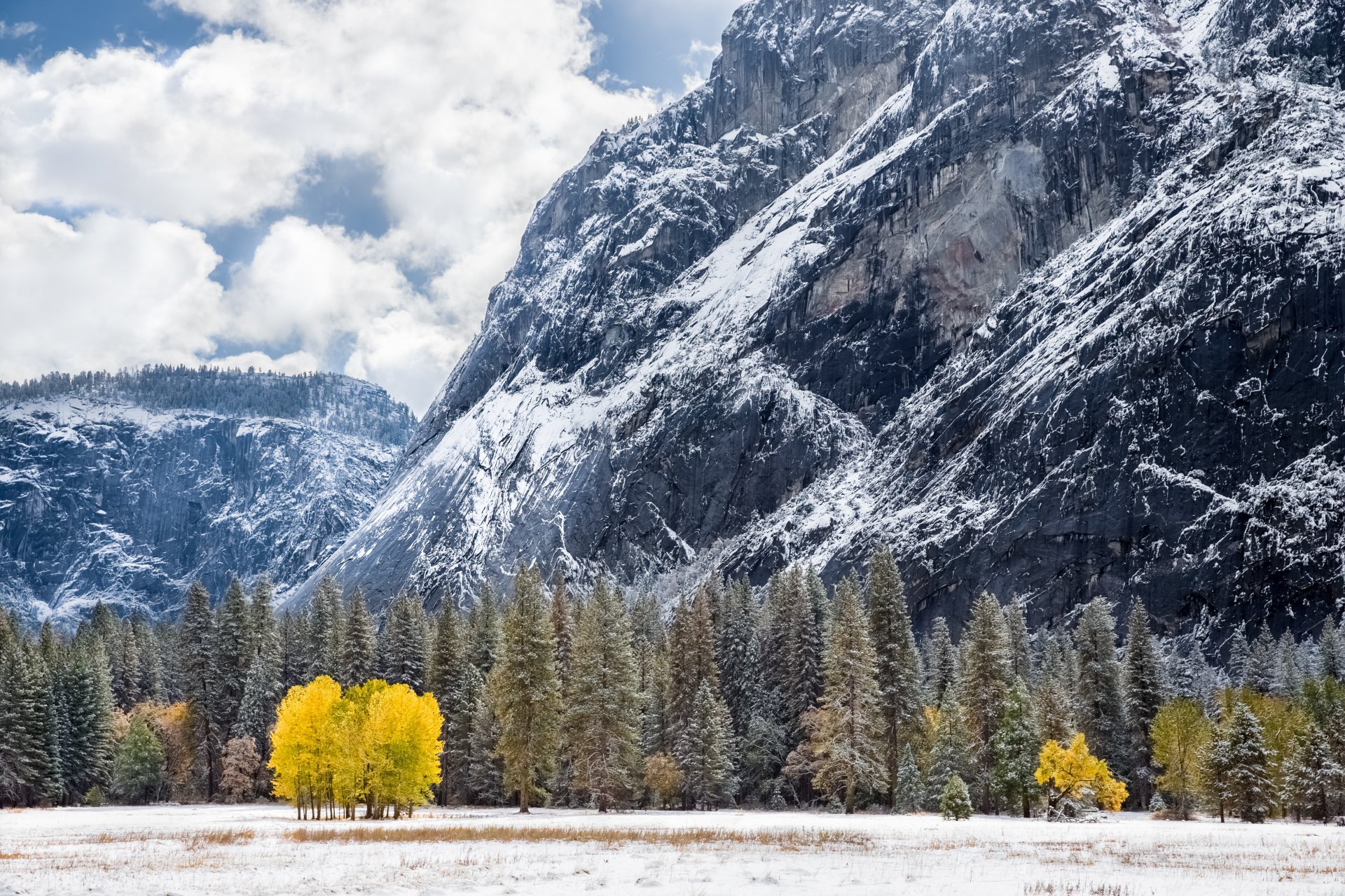 tuolumne prados california isa montaña bosque invierno nieve