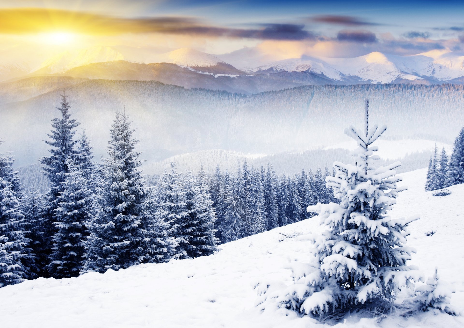 natura inverno montagne alberi di natale neve raggi del sole inverno alberi